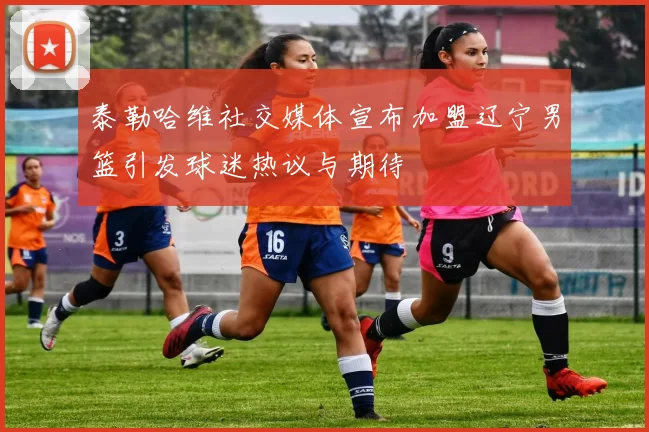 泰勒哈维社交媒体宣布加盟辽宁男篮引发球迷热议与期待