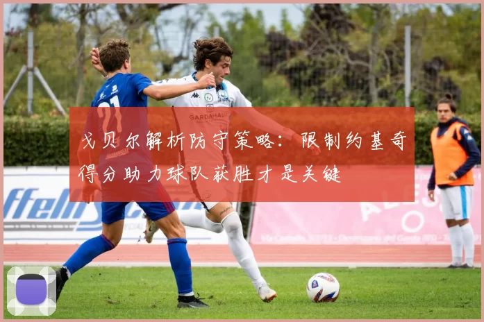 戈贝尔解析防守策略：限制约基奇得分助力球队获胜才是关键